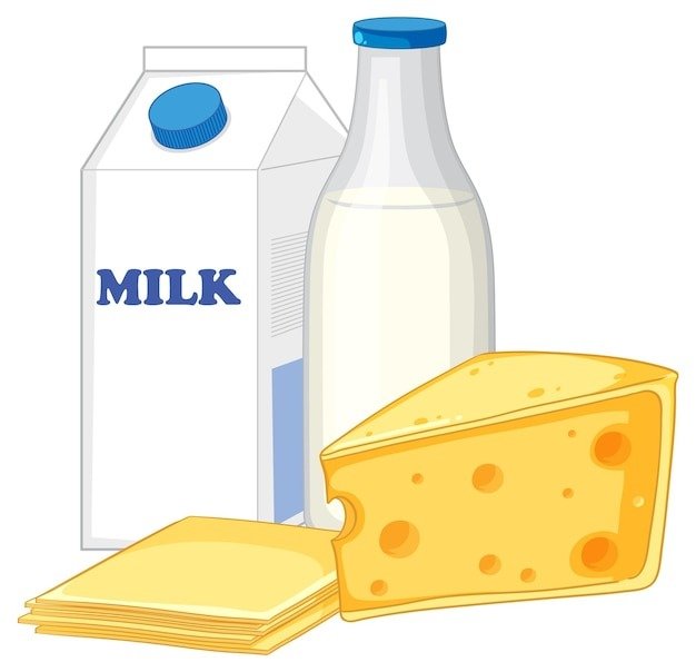 Dairy Products ( डेयरी उत्पाद )